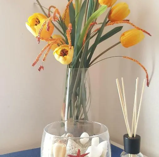 Apartament Casa Sileno